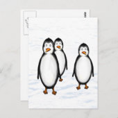 Pinguine Briefkaart (Voorkant / Achterkant)