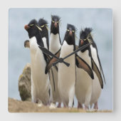 Pinguïnen die langs de oceaan lopen vierkante klok (Voorkant)