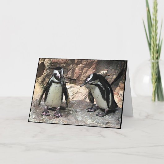 Pinguïnen Kaart (Voorkant)