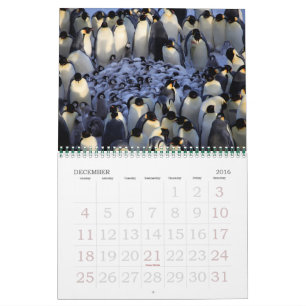 Pinguïnen Kalender