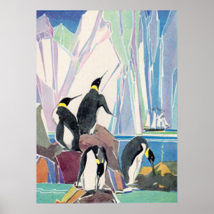 pinguïnland poster