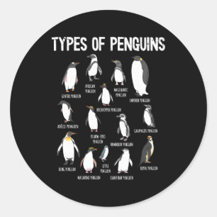 Pinguïnpinguïns van de wereld Soorten pinguïns Ronde Sticker