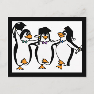 Pinguïns afstuderen aankondigingskaart