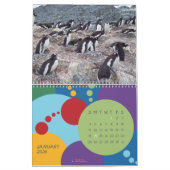 Pinguïns - Agenda 2020 Kalender (Jan 2026)