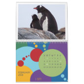 Pinguïns - Agenda 2020 Kalender (Feb 2026)