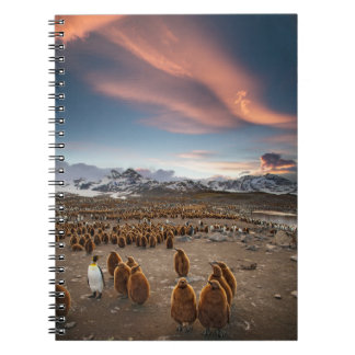 Pinguïns bij zonsondergang notitieboek
