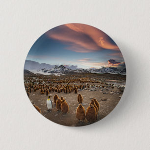 Pinguïns bij zonsondergang ronde button 5,7 cm