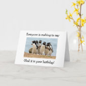 PINGUÏNS BLIJ "U" R 40 EN DAT ZE NIET KAART (Gele Bloem)