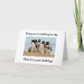 PINGUÏNS BLIJ "U" R 40 EN DAT ZE NIET KAART (Voorkant)