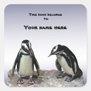 Pinguïns Boekplaat Vierkante Sticker