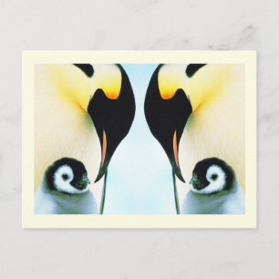 Pinguïns Briefkaart