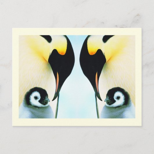 Pinguïns Briefkaart (Voorkant)