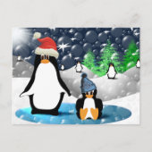 pinguïns briefkaart (Voorkant)