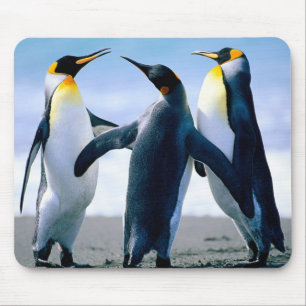 pinguïns: Colorful Penguin Mousepad of Muismat