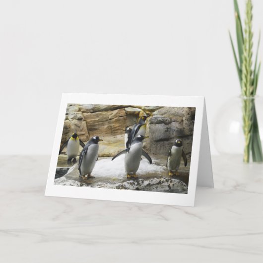 pinguïns feestdagen kaart (Voorkant)