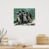 Pinguins fotoafdrukken poster (Keuken)