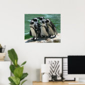 Pinguins fotoafdrukken poster (Thuiskantoor)