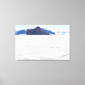 Pinguïns in Antarctica Canvas Afdruk