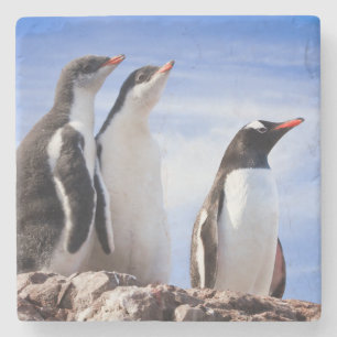 Pinguïns in Antarctica Stenen Onderzetter