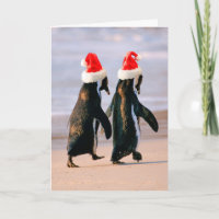 Pinguïns in kerstmannenhoeden op het strand