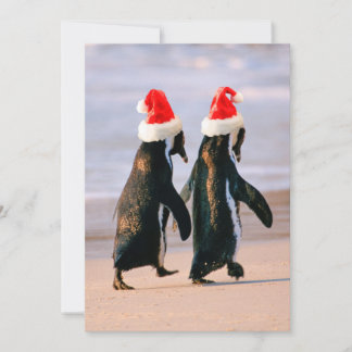 Pinguïns in kerstmannenhoeden op het strand feestdagenkaart