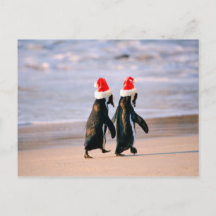 Pinguïns in Santa Hats op het strand Feestdagenkaart