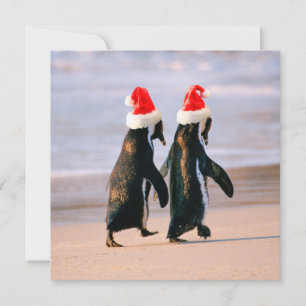 Pinguïns in Santa Hats op het strand Feestdagenkaart