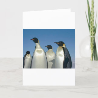 PINGUÏNS KAART