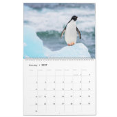 pinguïns kalender (Jan 2027)