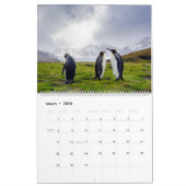 pinguïns kalender (Mar 2026)