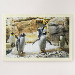 pinguïns legpuzzel