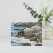 Pinguïns op het strand briefkaart (Staand voorkant)