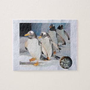 Pinguïns op ijs in dierentuin, leeftijd 6, Sardine Legpuzzel