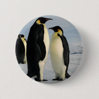 pinguïns-poop-uit-ruimte ronde button 5,7 cm