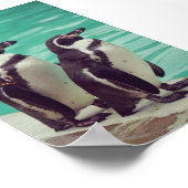 pinguïns poster (Hoek)