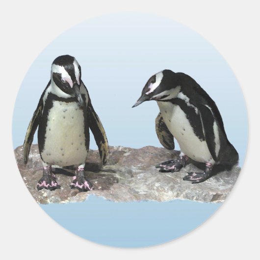 pinguïns ronde sticker (Voorkant)