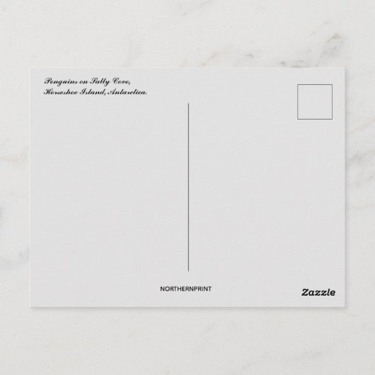 Pinguïns Sally Cove Hoefijzer Antarctica Briefkaart (Achterkant)