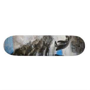 pinguïns skateboard