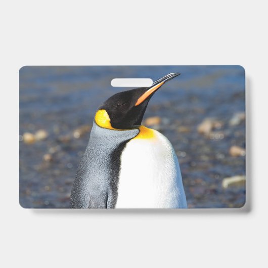 Pinguïsportret Badge (Voorzijde)