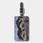 Pinguïstisch Bagagelabel (Voorkant verticaal)