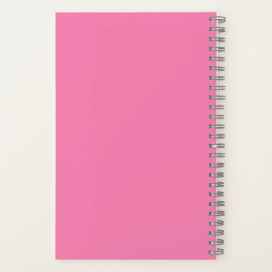 Pink Aesthetic Journal for Fun & Fancy Vibes (Verso)