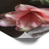 Pink Amaryllis Fleurs Art Imprimer Poster (Coin)
