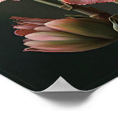 Pink Amaryllis Flower Art Imprimer Poster (Coin)