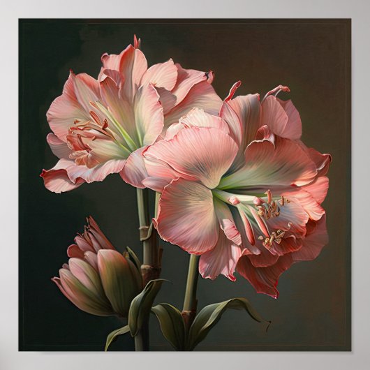 Pink Amaryllis Flower Art Imprimer Poster (Devant)
