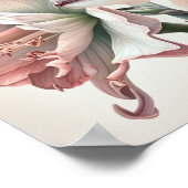 Pink Amaryllis Flower Art Imprimer Poster (Coin)