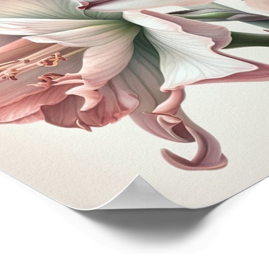 Pink Amaryllis Flower Art Imprimer Poster (Coin)