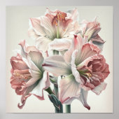 Pink Amaryllis Flower Art Imprimer Poster (Devant)