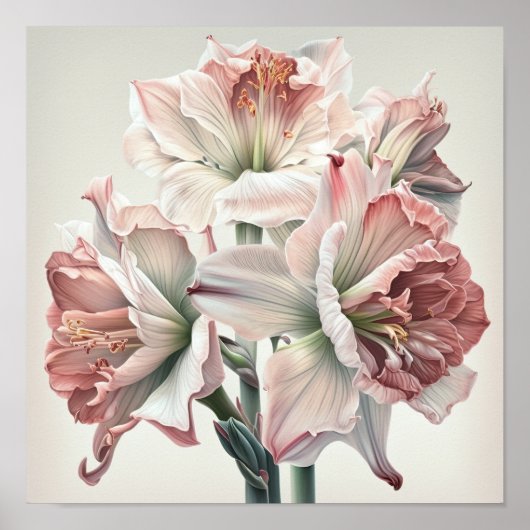 Pink Amaryllis Flower Art Imprimer Poster (Devant)