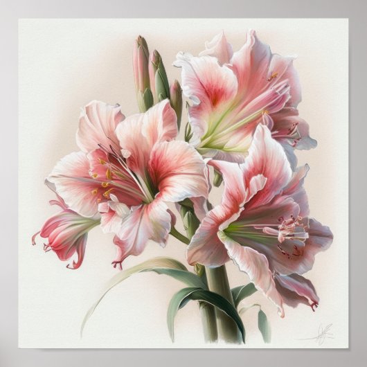 Pink Amaryllis Flower Art Imprimer Poster (Devant)