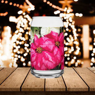 Pink and White Variegee Poinsettias Holiday